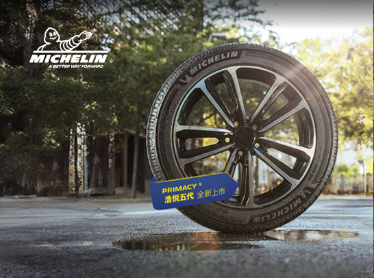 【Marketing segmentation】Michelin