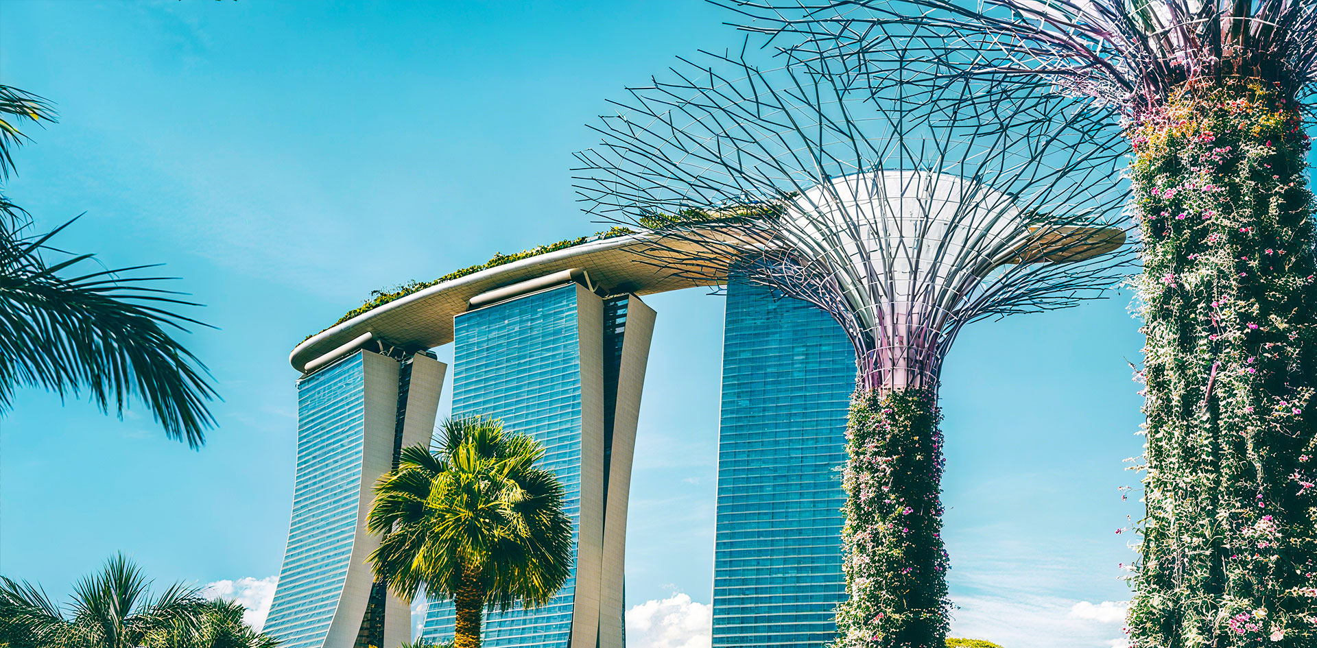 Driving Growth Through Culturally<br> Rooted Marketing Strategies